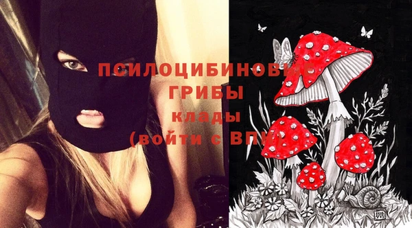кокс Алексин