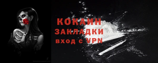 кокс Алексин