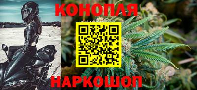 шишки Гусь-Хрустальный