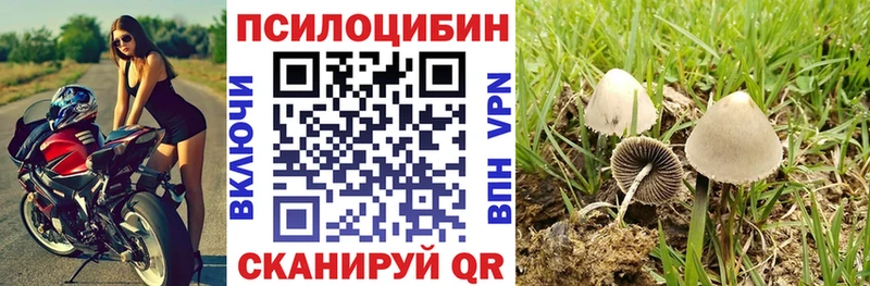 Псилоцибиновые грибы Psilocybe где купить KRAKEN зеркало Кимры