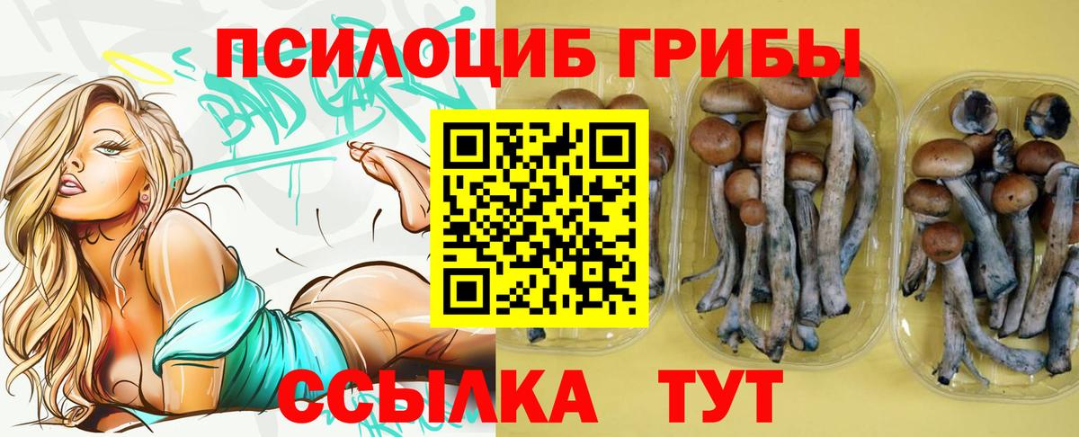 Кимры  Галлюциногенные грибы MAGIC MUSHROOMS  Псилоцибиновые грибы Psilocybine cubensis  Вход с VPN 